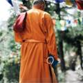 What Is the Point of Being a Shaolin Monk?