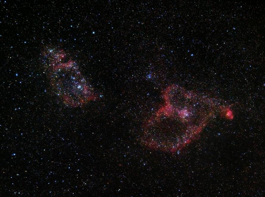 Zen-Motivated Return Policy From Shaolin Products Supplier