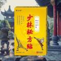 Shaolin Herbal Pain Plaster: Traditional Chinese Relief for Muscle and Joint Pain